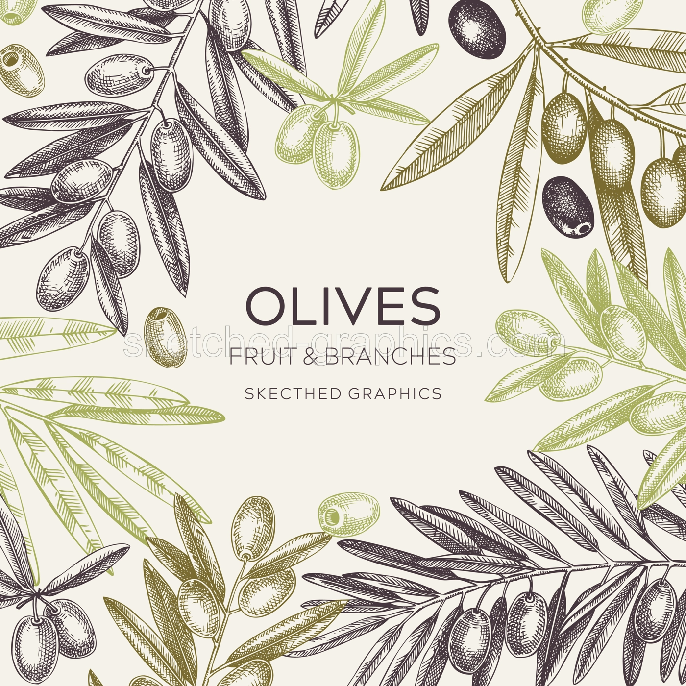 Vinatge olives frame design.Olive tree branches sketches. Mediterranean food menu template. Hand-drawn vector illustration. NOT AI generated. Illustration